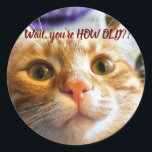Funny Cat Birthday Runt Klistermärke<br><div class="desc">Det här är Sprocket. Sprocket är mycket uttrycksfullt och när jag berättade för henne vad min ålder var, så är det det uttryck hon gjorde. Jag kunde fånga det här ögonblicket och jag tror att jag fångade vad hon försökte säga mig. Det gav mig ett sådant skratt! Jag hoppas att...</div>