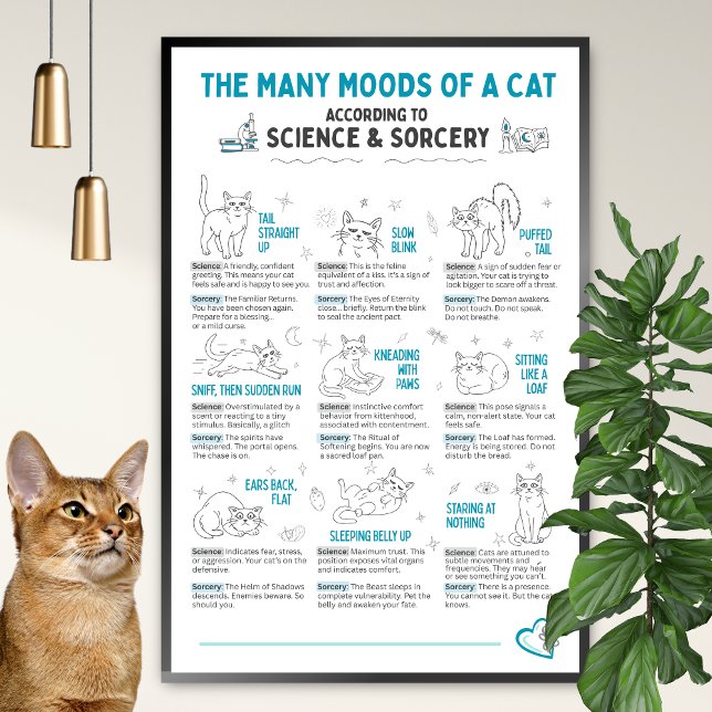 Funny Cat Body Language Poster – Feline Mood Chart (Skapare uppladdad)
