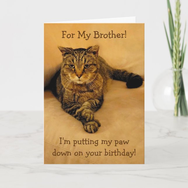 Funny Cat Brother Birthday Kort (Framsida)