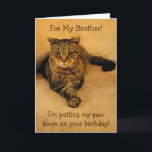 Funny Cat Brother Birthday Kort<br><div class="desc">Födelsedagskort för en bror med Rupie som lägger ner tass under lite speciell roligt. Inuti fotot visas elak affärer. Anpassa med ditt eget meddelande. Tack så mycket för tittar. Foton ©Christine Greenspan</div>