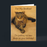 Funny Cat Brother Birthday Kort<br><div class="desc">Födelsedagskort för en bror med Rupie som lägger ner tass under lite speciell roligt. Inuti fotot visas elak affärer. Anpassa med ditt eget meddelande. Tack så mycket för tittar. Foton ©Christine Greenspan</div>