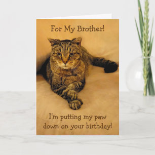 Funny Cat Brother Birthday Kort