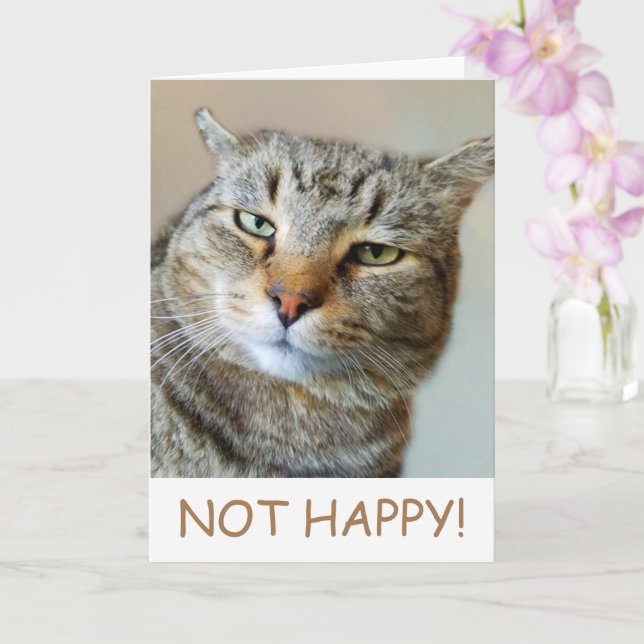 Funny Cat Cancer Support Kort (Orkide)