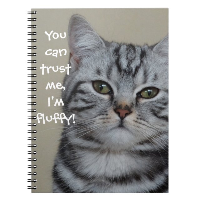 Funny Cat Caption Trust Me Jag är Fluffy Anteckningsbok (Framsidan)