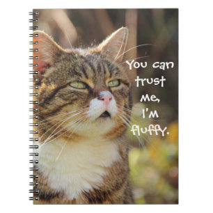 Funny Cat Caption Trust Me Jag är Fluffy Anteckningsbok