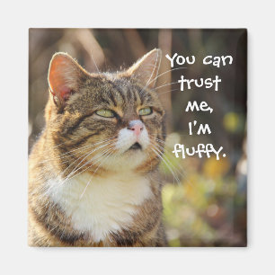 Funny Cat Caption Trust Me Jag är Fluffy Magnet