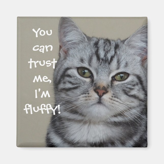 Funny Cat Caption Trust Me Jag är Fluffy Magnet (Framsidan)