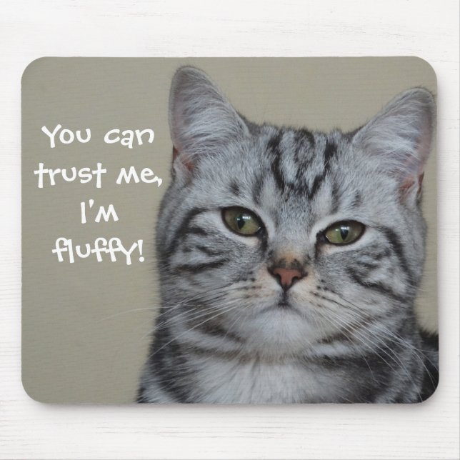 Funny Cat Caption Trust Me Jag är Fluffy Musmatta (Framsidan)