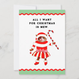 Funny Cat Christmas Julkort