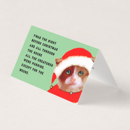 Funny Cat Christmas Kort