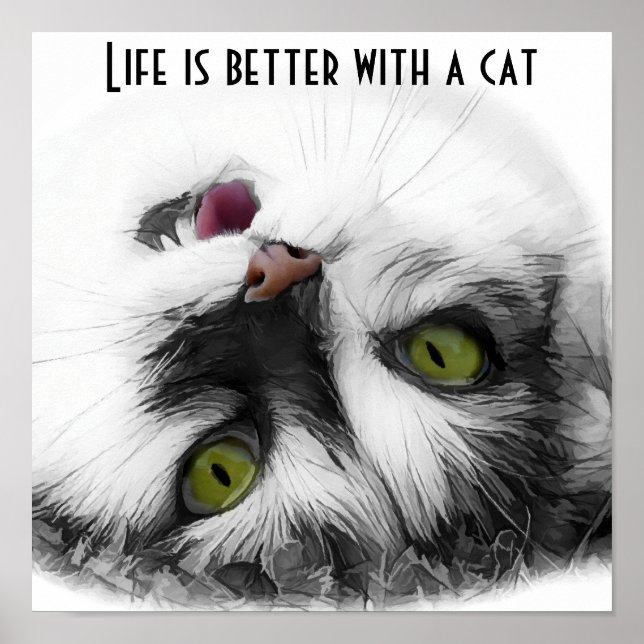 Funny Cat Classic Poster (Framsidan)