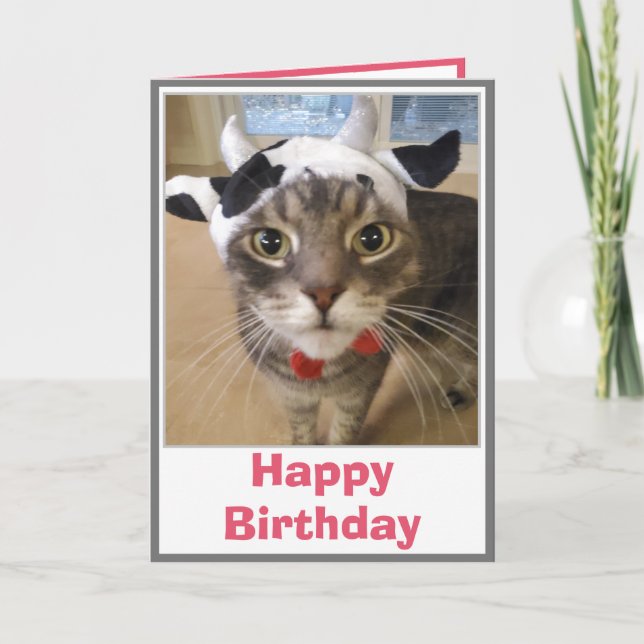Funny Cat Cow Joke Birthday Kort (Framsida)