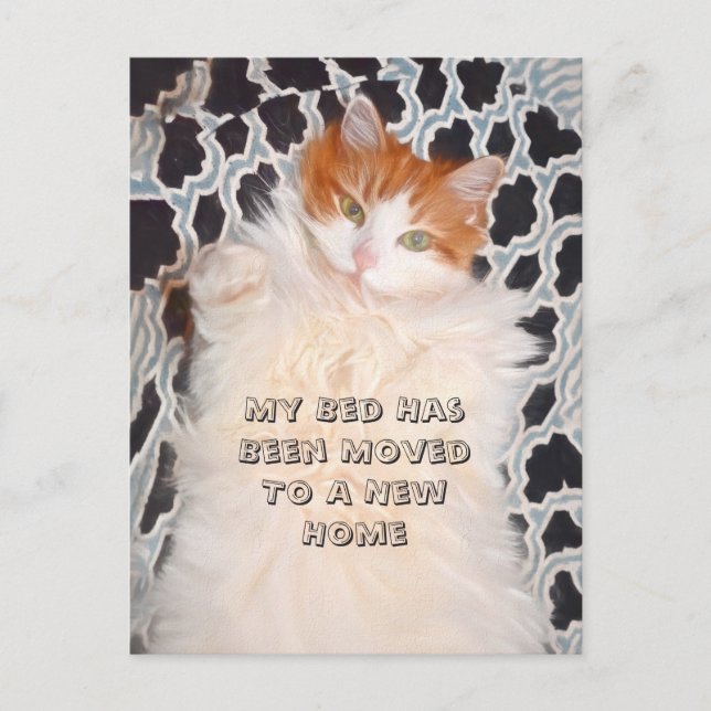 Funny Cat Cute Flytta Ny adress Vykort (Framsida)