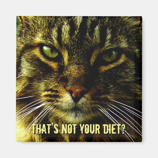Funny Cat Diet Guard Magnet (Framsidan)