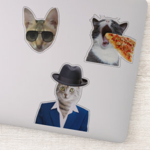 Funny Cat Eating Pizza Klistermärken