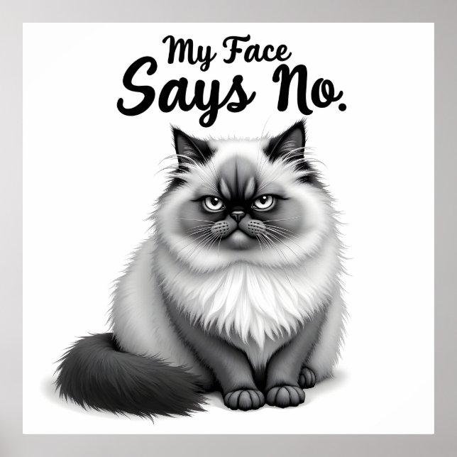 Funny Cat Face Illustration – Minimal Cute Cat Art Poster (Framsidan)