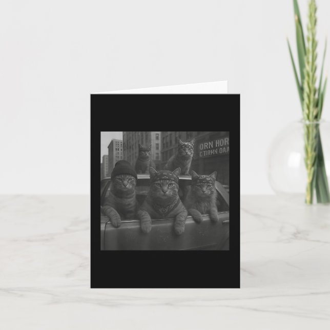 Funny Cat Gang Meme Street Sarcastic Cat Gangster Kort (Framsida)