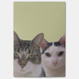 Funny Cat Gang Post-it Block