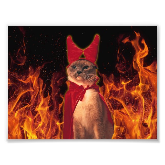 Funny Cat i Halloween Djävulen Costume Fototryck (Framsidan)