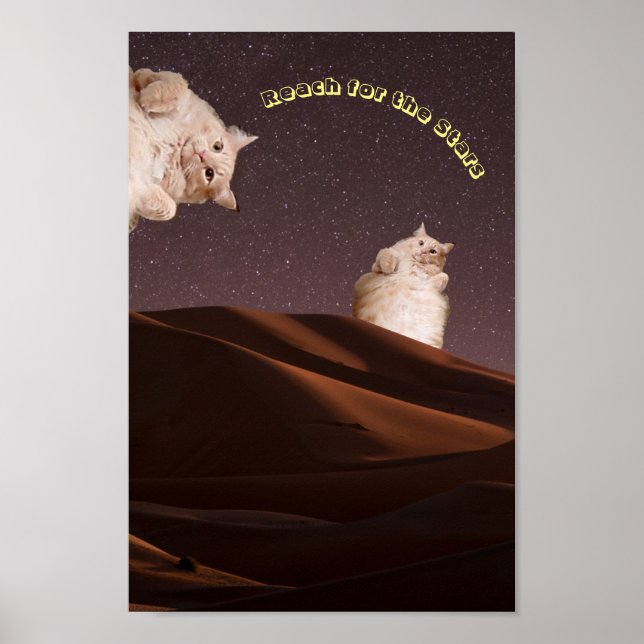 Funny Cat-inspiration Poster (Framsidan)