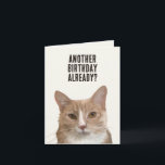 Funny Cat Kitten Me Pun Birthday Kort<br><div class="desc">Vattentat eller barn,  rumsdekoration. Gender,  neutralt och perfekt för alla baby. Perfekt för en födelsedag eller nyfödd gåva.</div>