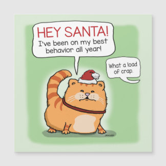 Funny Cat Ljuger till Jultomten jul