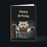 Funny Cat Lover Birthday Animal Kort<br><div class="desc">Funny Cat Lover Birthday Animal Humor</div>