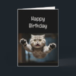 Funny Cat Lover Birthday Animal Kort<br><div class="desc">Funny Cat Lover Birthday Animal Humor</div>