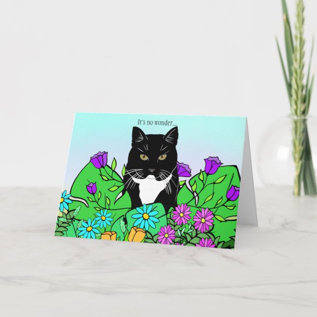 Funny Cat Lover Birthday-kort Kort (Framsida)