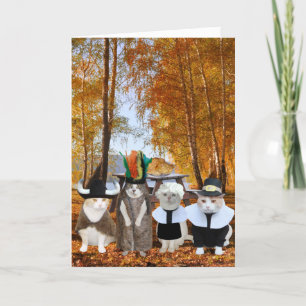 Funny Cat Lover Thanksgiving Card Helgkort