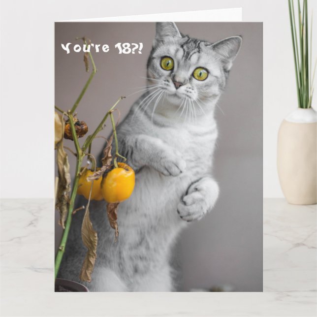 Funny Cat Lycklig 18:e födelsedagskortet Kort (Framsida)
