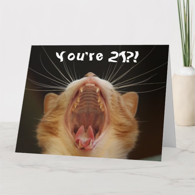 Funny Cat Lycklig 21:a födelsedagen Kort (Framsida)