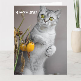 Funny Cat Lycklig 21:a födelsedagskortet Kort