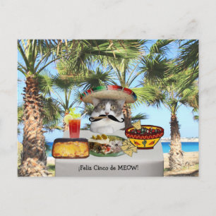 Funny Cat Lycklig Cinco de Mayo Vykort