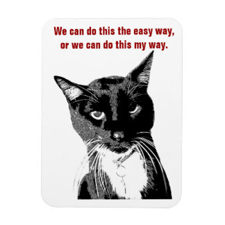 Funny Cat Magnet