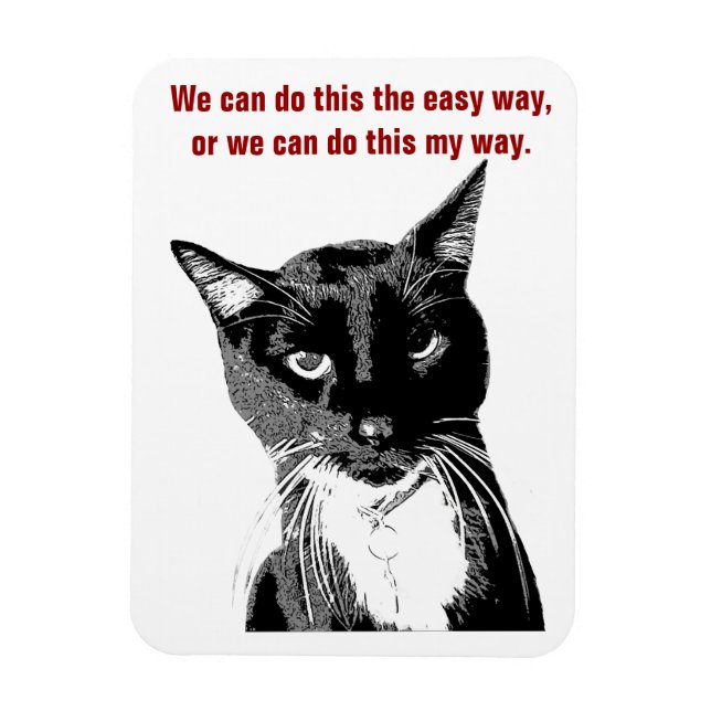 Funny Cat Magnet (Vertikal)