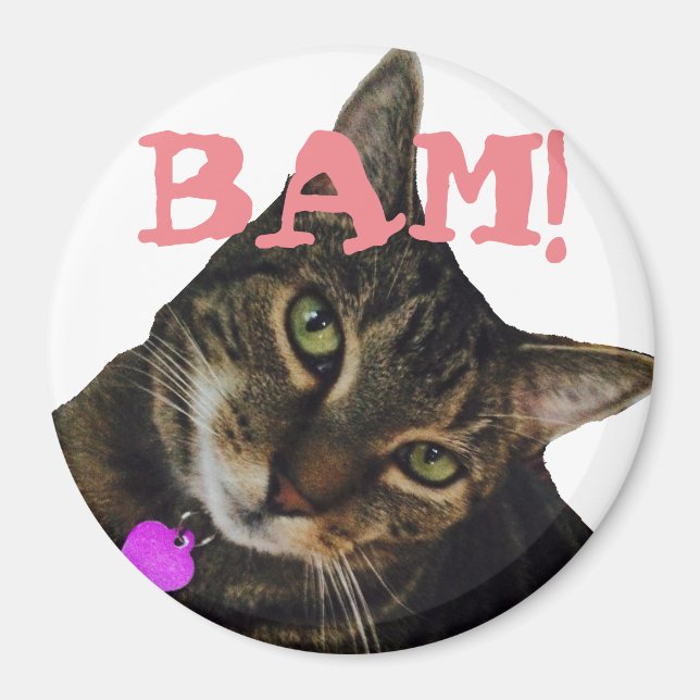 Funny Cat Magnet (Framsidan)