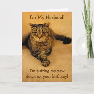 Funny Cat Make Birthday Kort