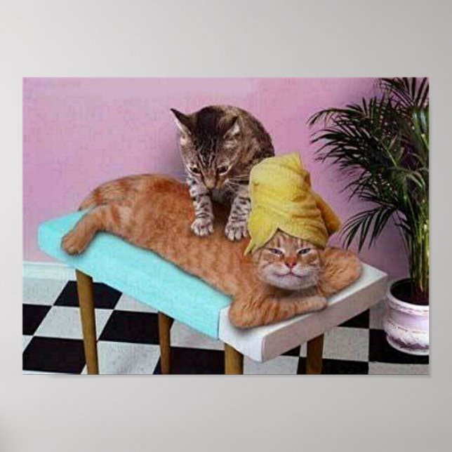 Funny Cat Massage Poster (Framsidan)