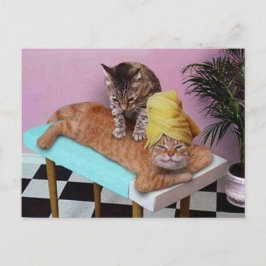 Funny Cat Massage Vykort