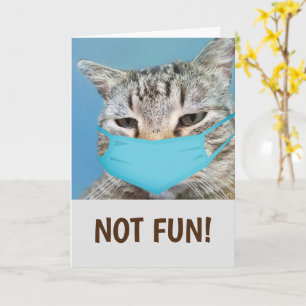 Funny Cat Medical Get well Kort