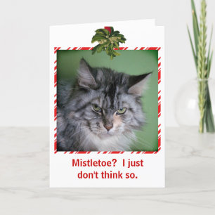 Funny Cat Mistletoe julhälsningskort Helgkort