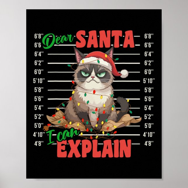 Funny Cat Mugshot Bästa Santa I kan förklara Chris Poster (Framsidan)