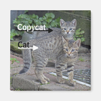 Funny Cat- och Copycat-foto Magnet