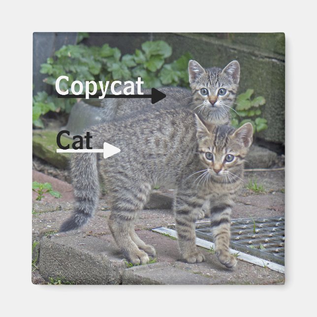 Funny Cat- och Copycat-foto Magnet (Framsidan)