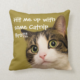 Funny Cat Photo Catnip-titel Kudde