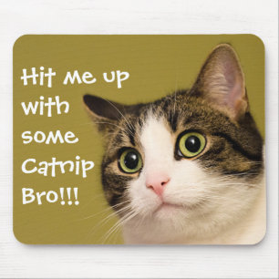 Funny Cat Photo Catnip-titel Musmatta