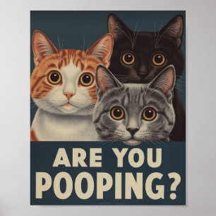 Funny Cat Poster Pooping? Kattkonst
