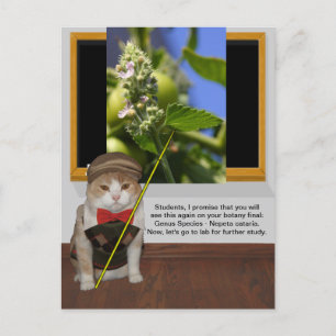 Funny Cat Professor Vykort