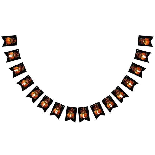 FUNNY CAT PUMPKIN HAPPY HALLOWEEN VIMPLAR (Alla)